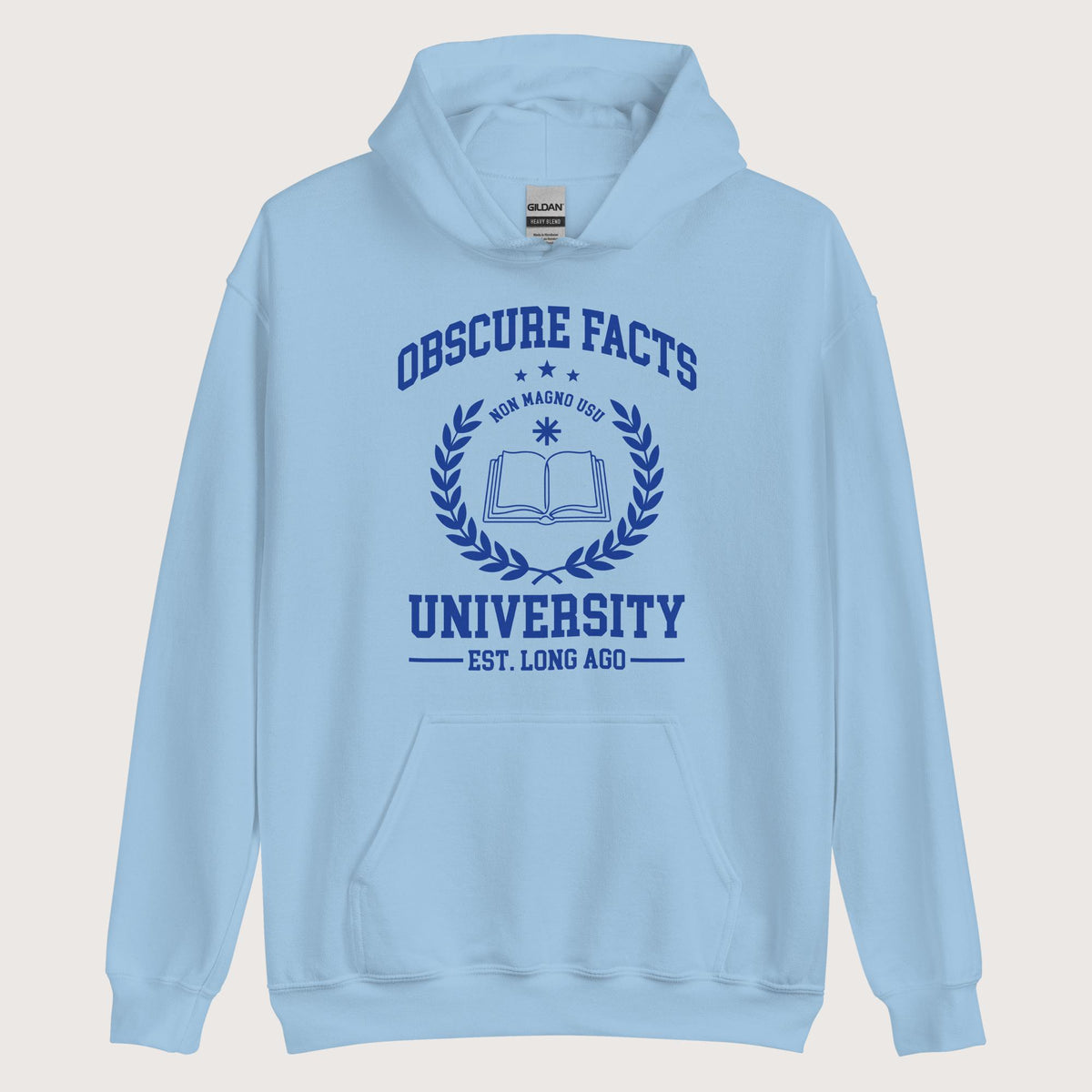 Light Blue Obscure Facts University Hoodie - history buff gift by HistoHead