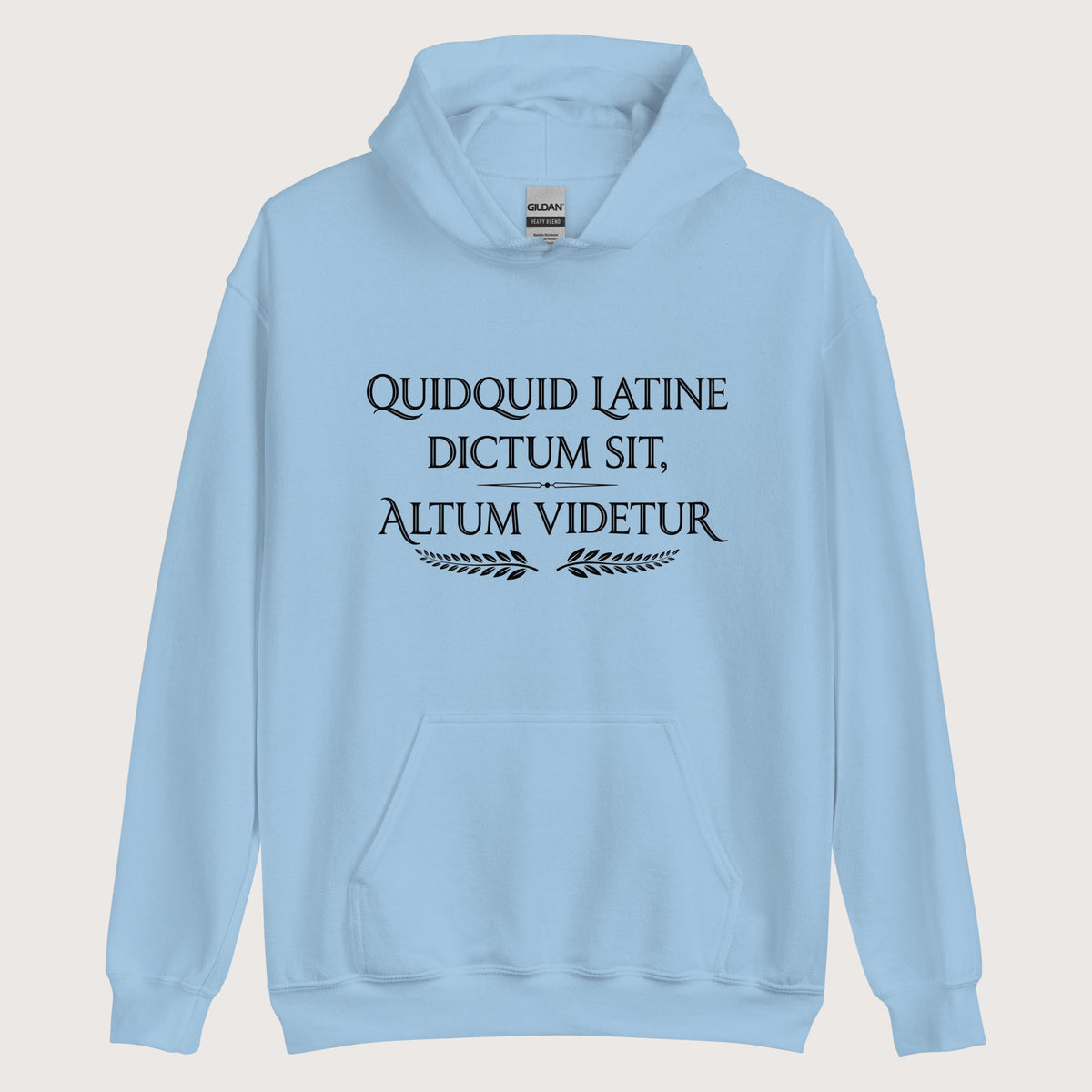 Light Blue Whatever Is Said in Latin Seems Deep Hoodie - history buff gift by HistoHead