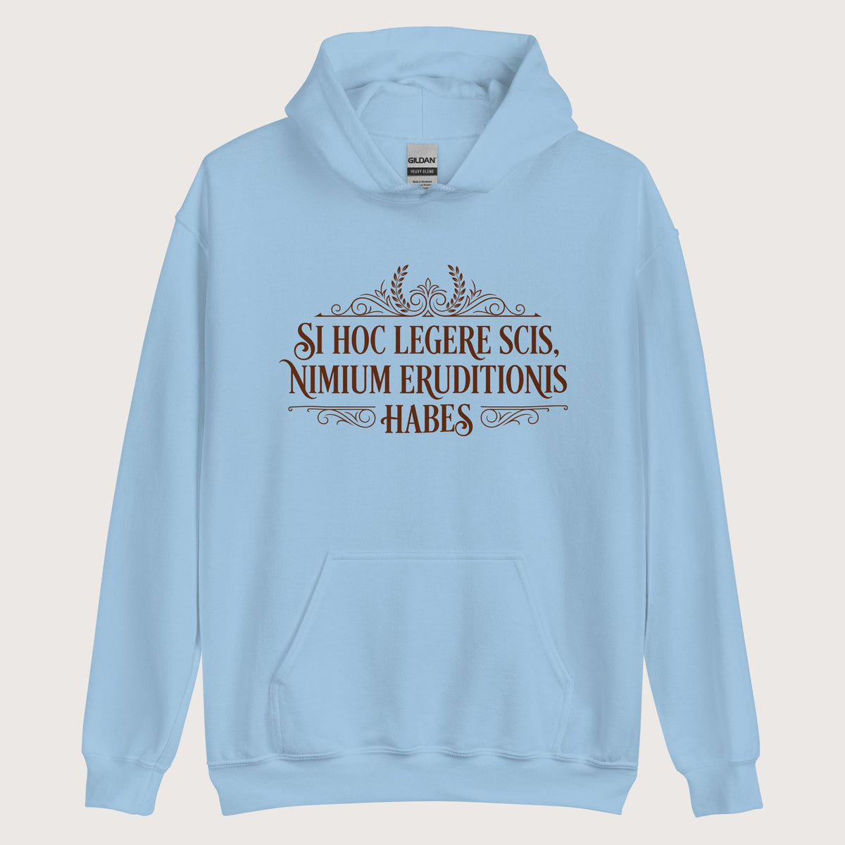 Light Blue If You Can Read This You Have Too Much Education in Latin Hoodie - history buff gift by HistoHead