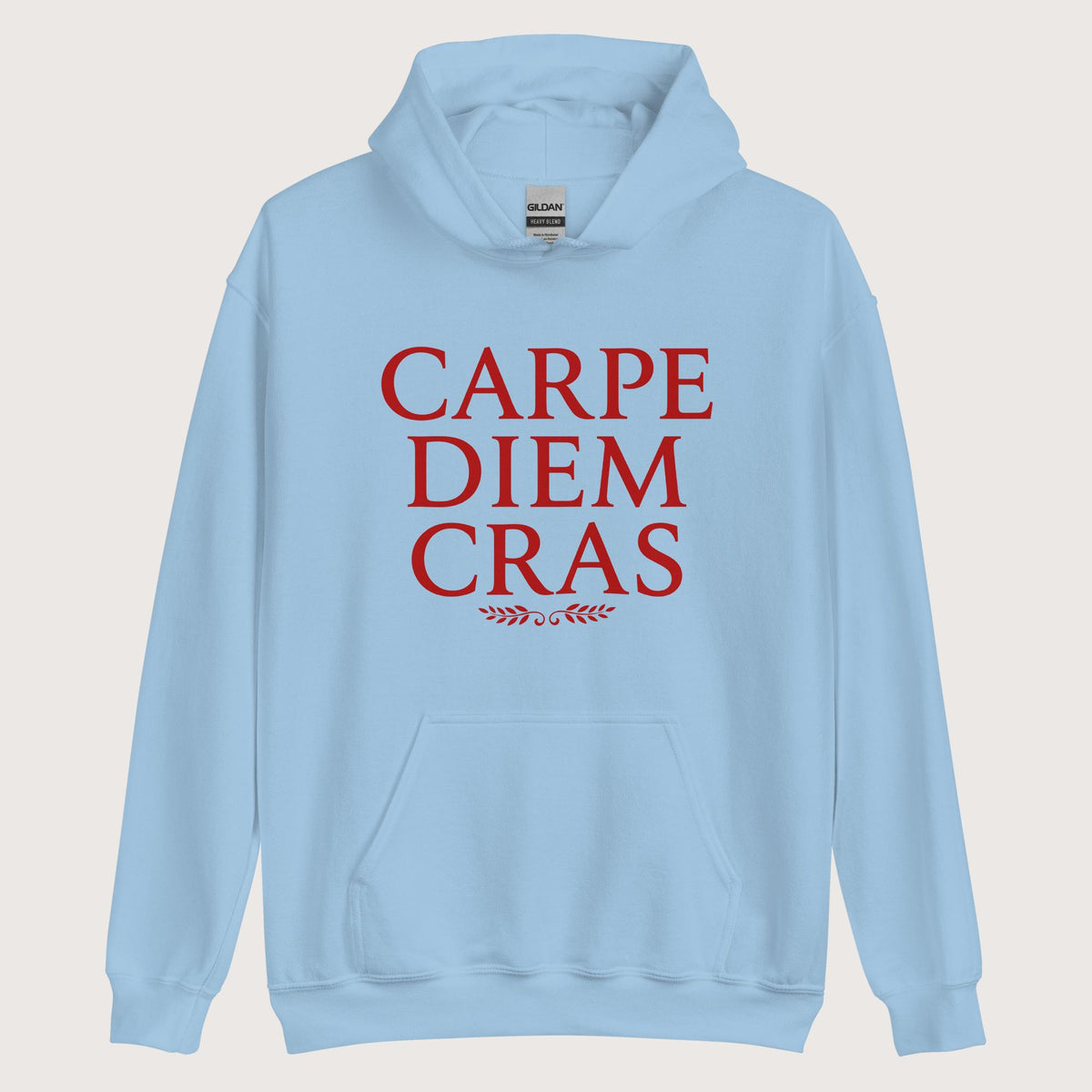 Light Blue Seize the Day Tomorrow in Latin Hoodie - history buff gift by HistoHead