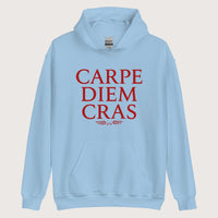 Light Blue Seize the Day Tomorrow in Latin Hoodie - history buff gift by HistoHead