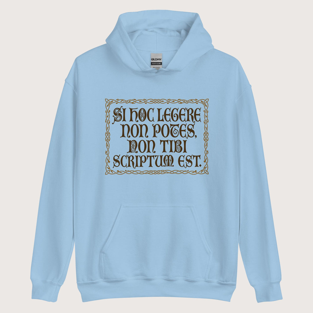 Light Blue If You Can't Read This It's Not Written For You Hoodie - history buff gift by HistoHead