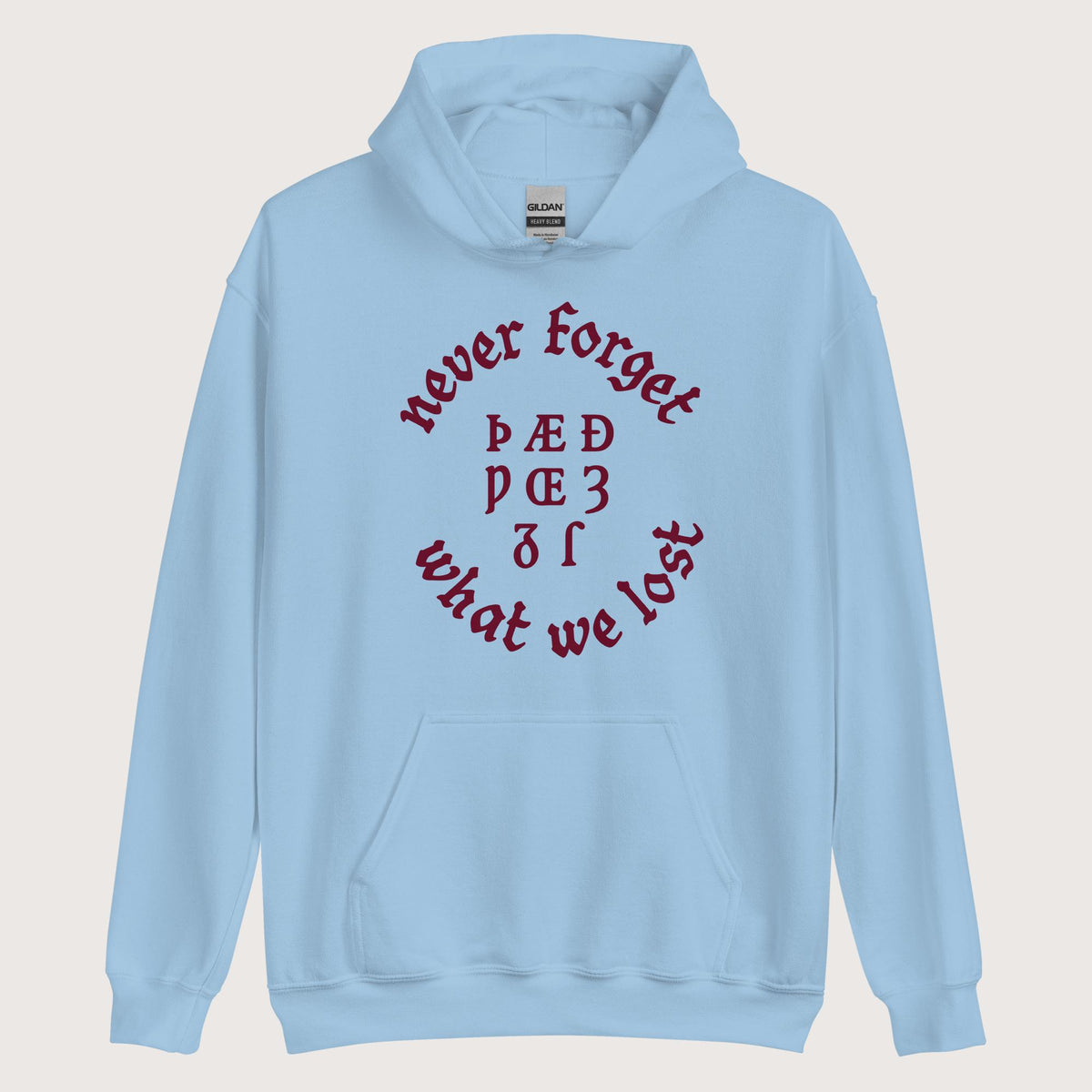 Light Blue Never Forget Lost Letters Hoodie - history buff gift by HistoHead