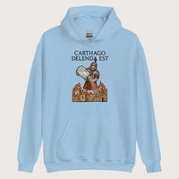 Light Blue Salting Carthage Hoodie - history buff gift by HistoHead