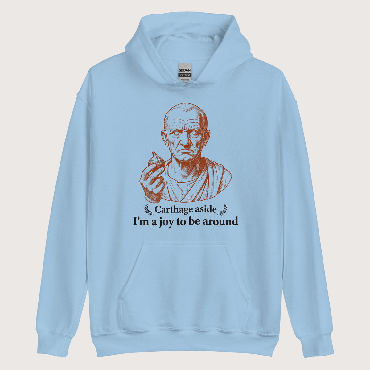 Light Blue Cato Carthage Aside I'm a Joy to Be Around Hoodie - history buff gift by HistoHead