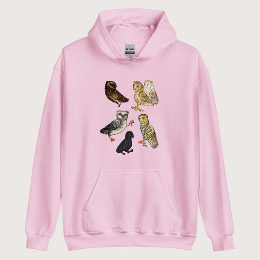 Light Pink Weird Medieval Owls Hoodie - history buff gift by HistoHead
