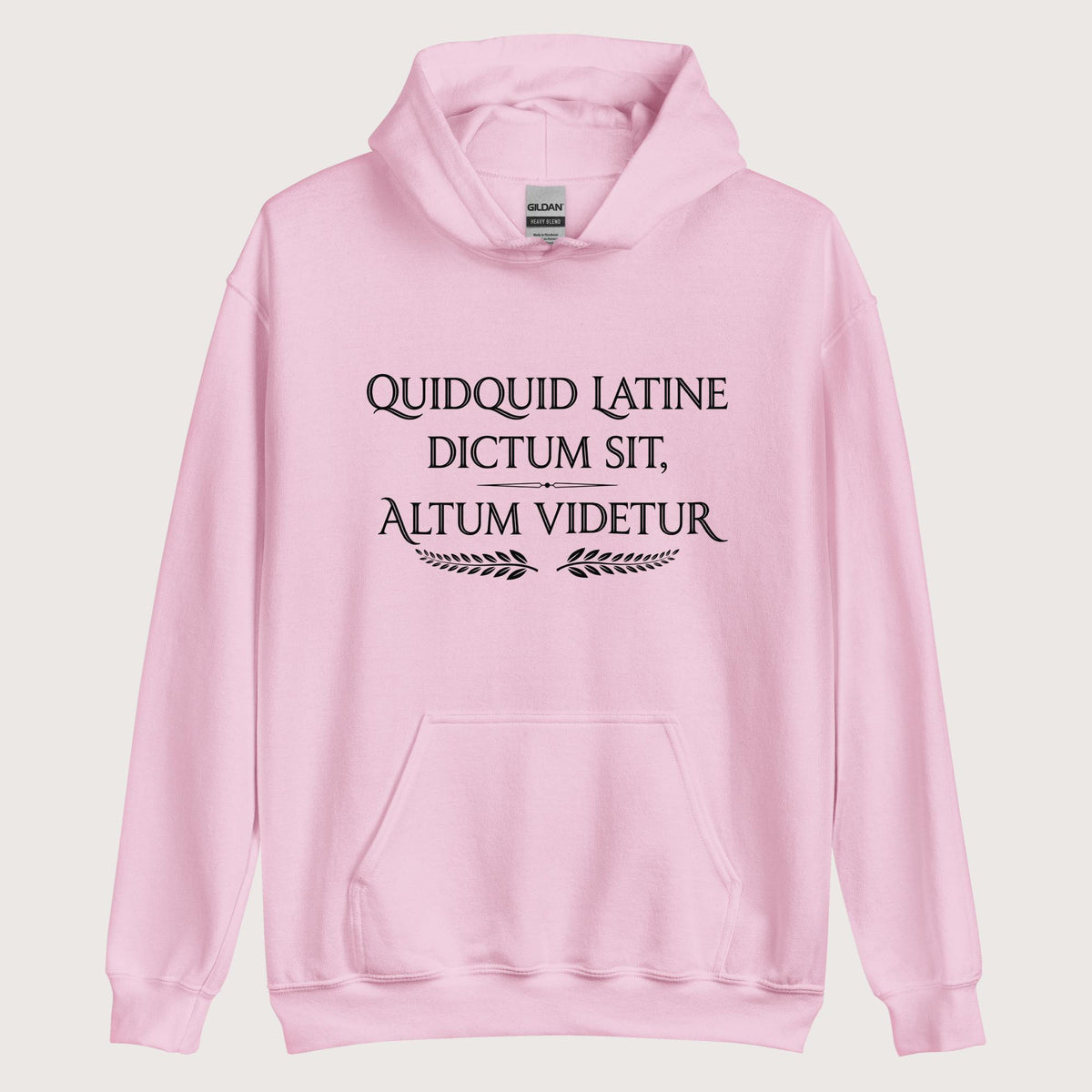 Light Pink Whatever Is Said in Latin Seems Deep Hoodie - history buff gift by HistoHead