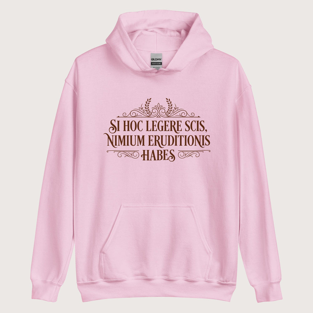 Light Pink If You Can Read This You Have Too Much Education in Latin Hoodie - history buff gift by HistoHead