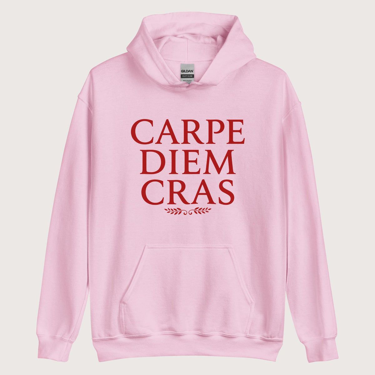 Light Pink Seize the Day Tomorrow in Latin Hoodie - history buff gift by HistoHead
