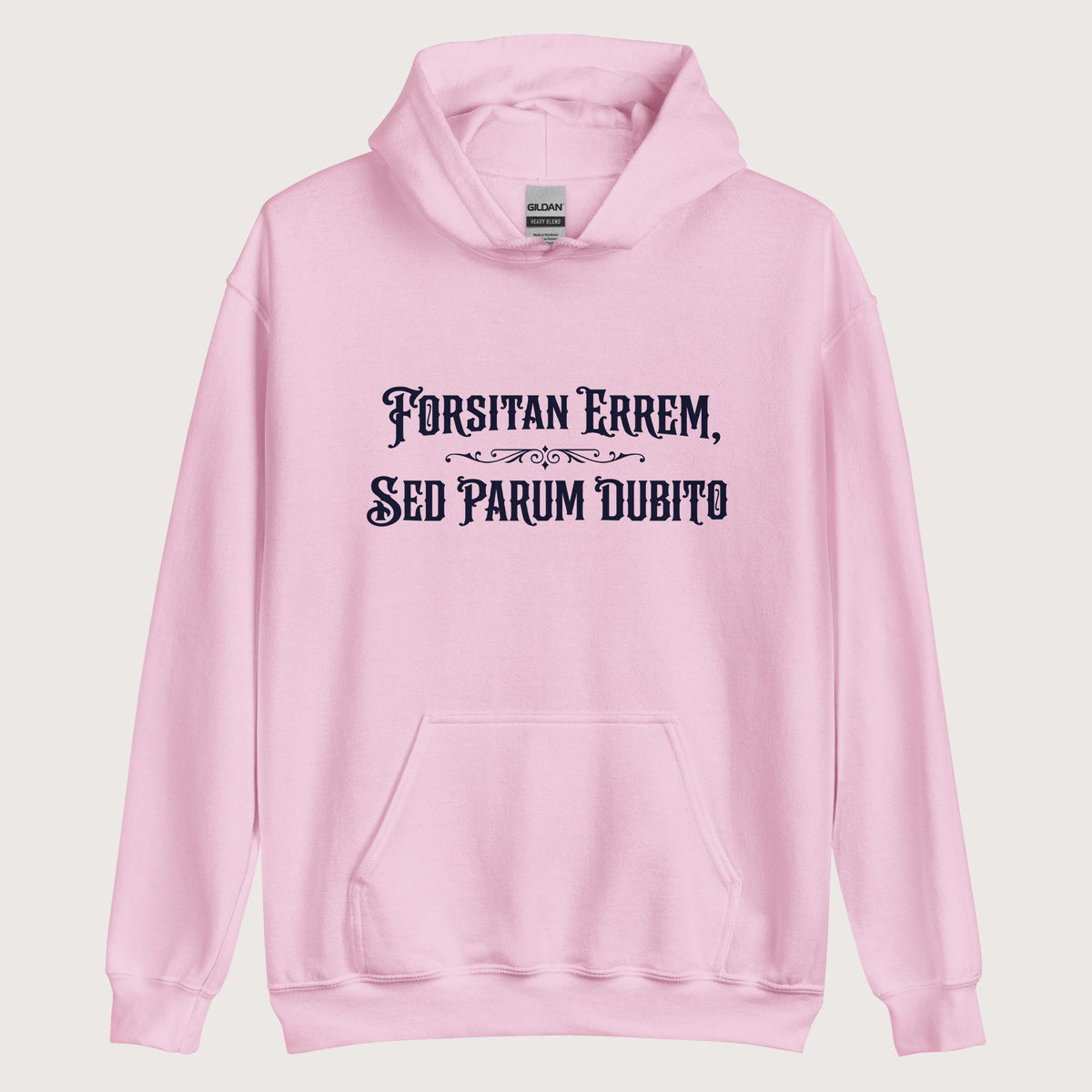 Light Pink I May Be Wrong But I Doubt It in Latin Hoodie - history buff gift by HistoHead