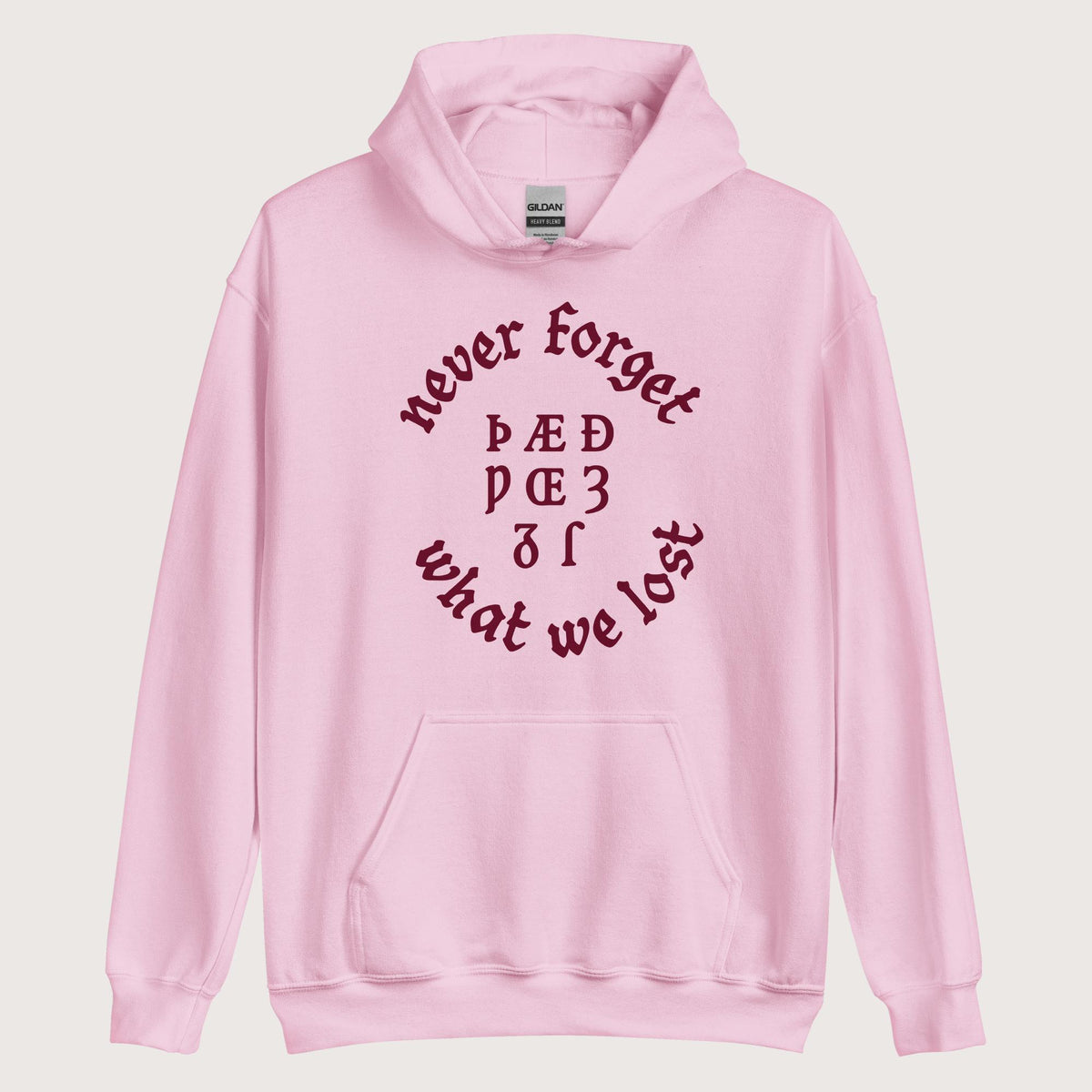 Light Pink Never Forget Lost Letters Hoodie - history buff gift by HistoHead