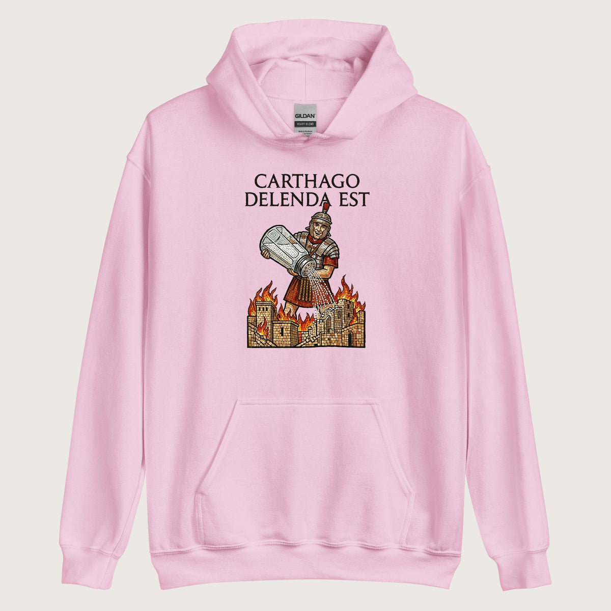 Light Pink Salting Carthage Hoodie - history buff gift by HistoHead