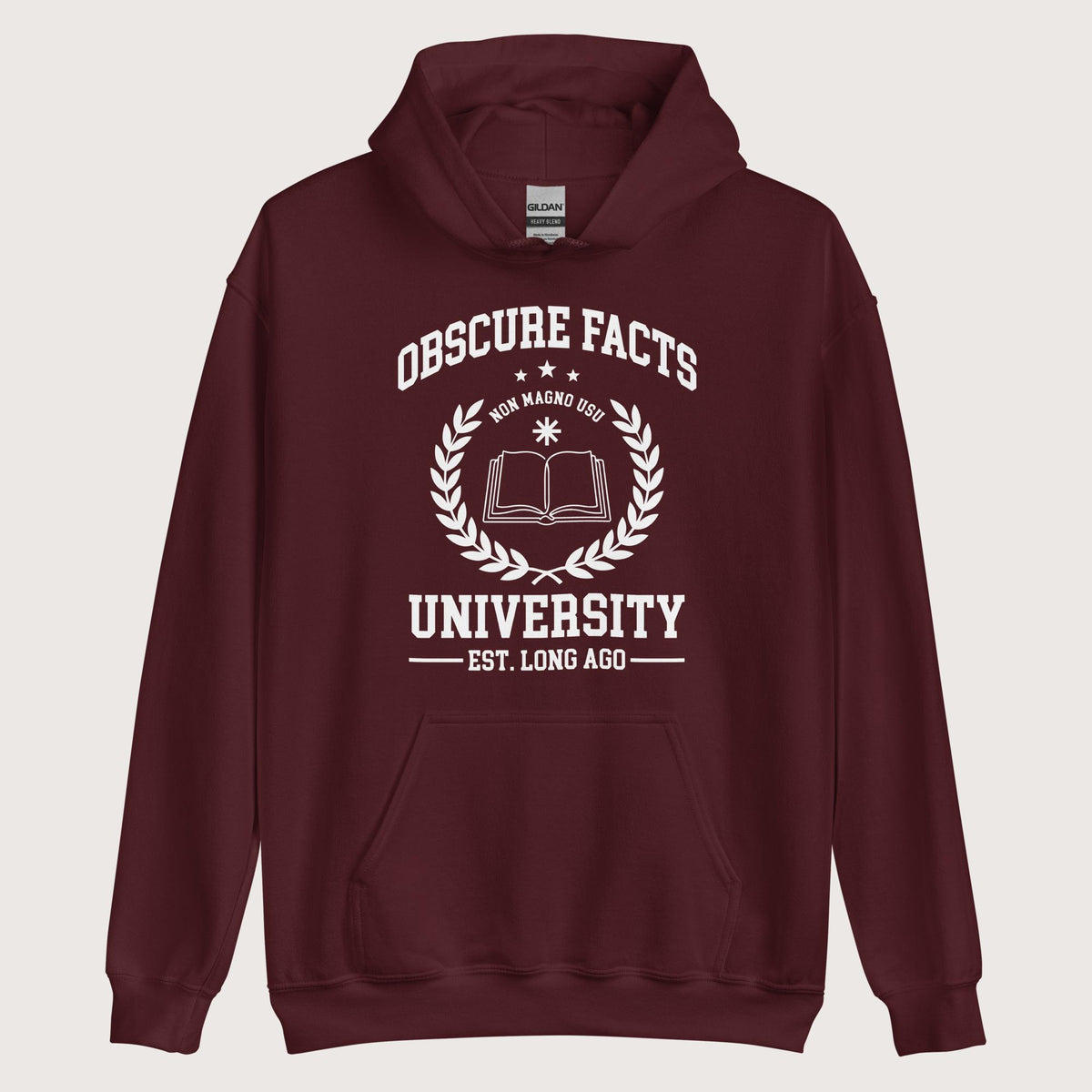 Maroon Obscure Facts University Hoodie - history buff gift by HistoHead