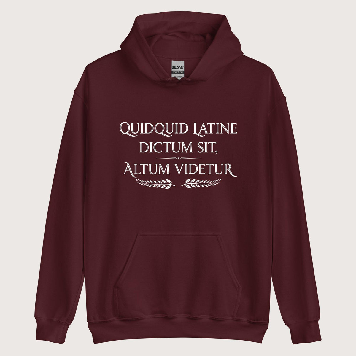 Maroon Whatever Is Said in Latin Seems Deep Hoodie - history buff gift by HistoHead