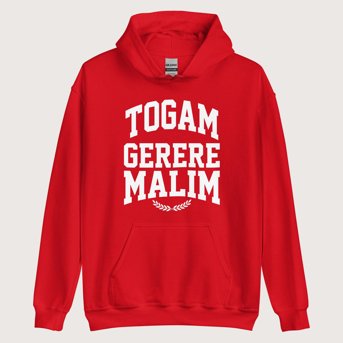 Red Latin I'd Rather Be Wearing A Toga Hoodie - history buff gift by HistoHead
