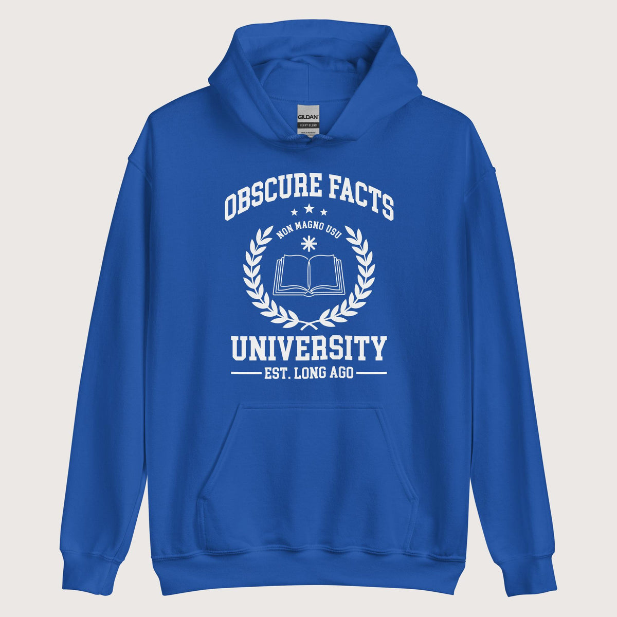 Royal Obscure Facts University Hoodie - history buff gift by HistoHead
