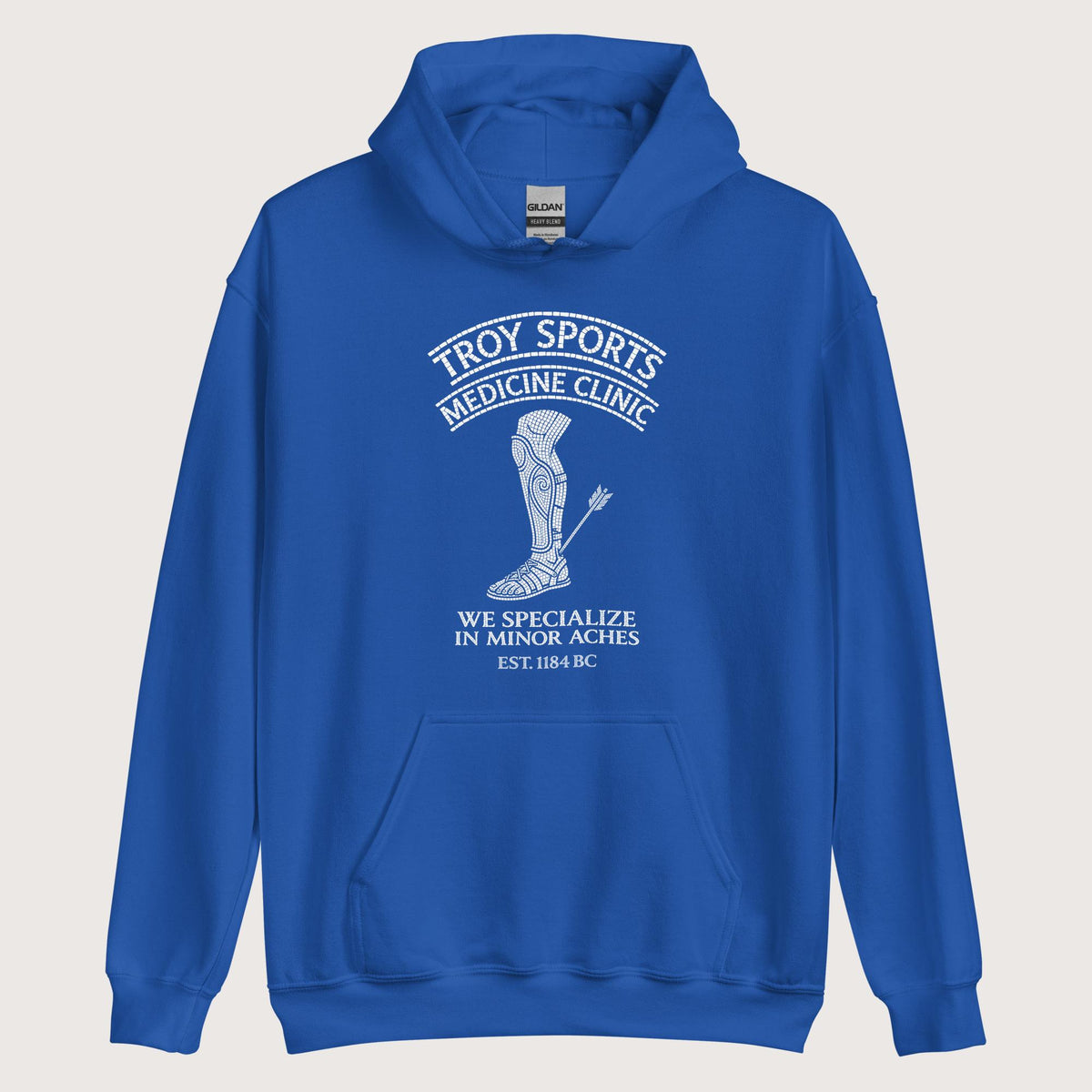 Royal Troy Sports Medicine Clinic Hoodie - history buff gift by HistoHead