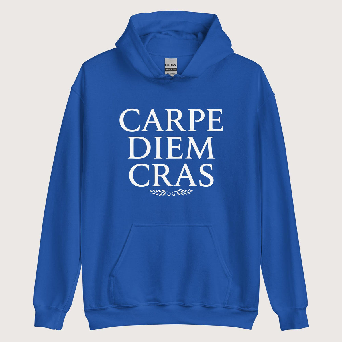 Royal Seize the Day Tomorrow in Latin Hoodie - history buff gift by HistoHead
