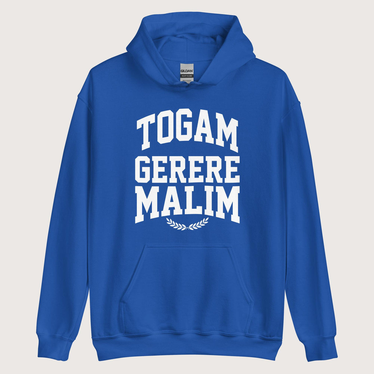 Royal Latin I'd Rather Be Wearing A Toga Hoodie - history buff gift by HistoHead