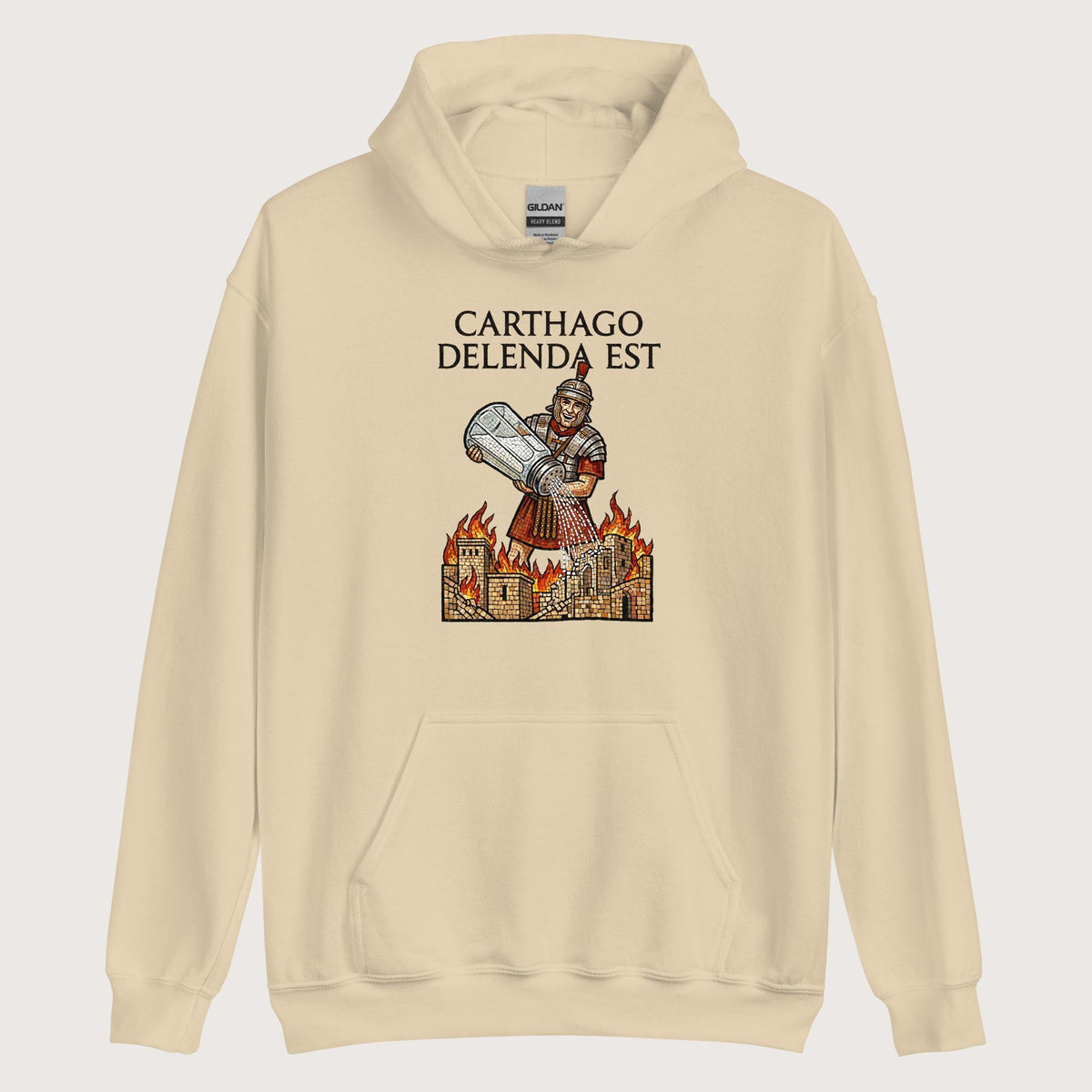 Sand Salting Carthage Hoodie - history buff gift by HistoHead