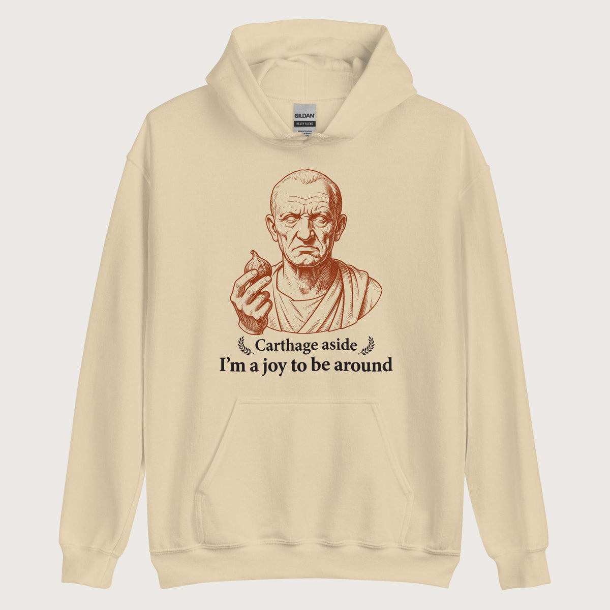 Sand Cato Carthage Aside I'm a Joy to Be Around Hoodie - history buff gift by HistoHead