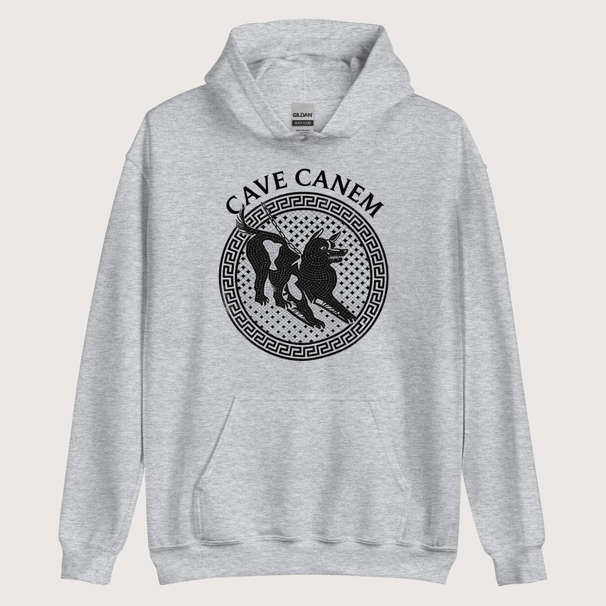 Sport Grey Cave Canem Hoodie - history buff gift by HistoHead