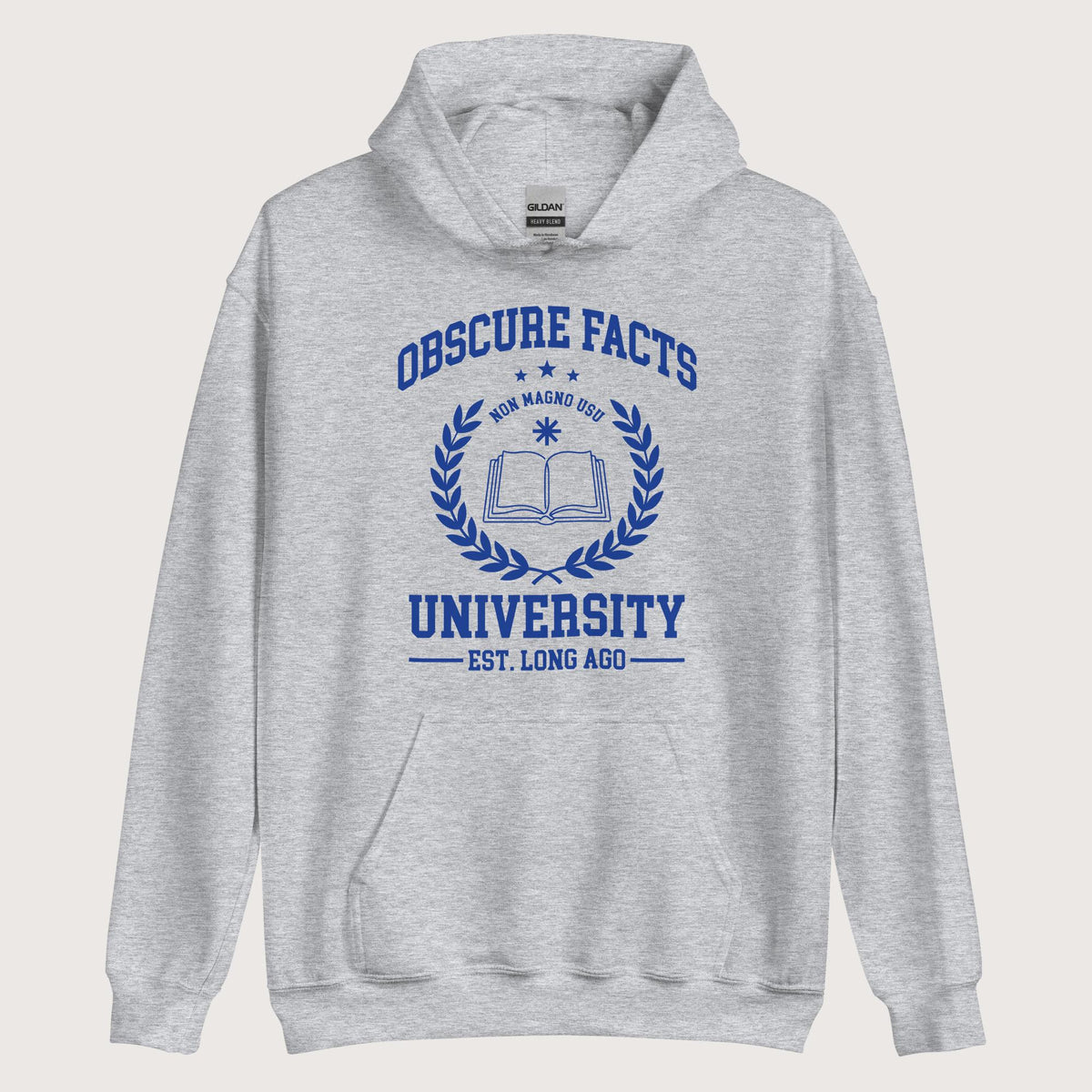 Sport Grey Obscure Facts University Hoodie - history buff gift by HistoHead