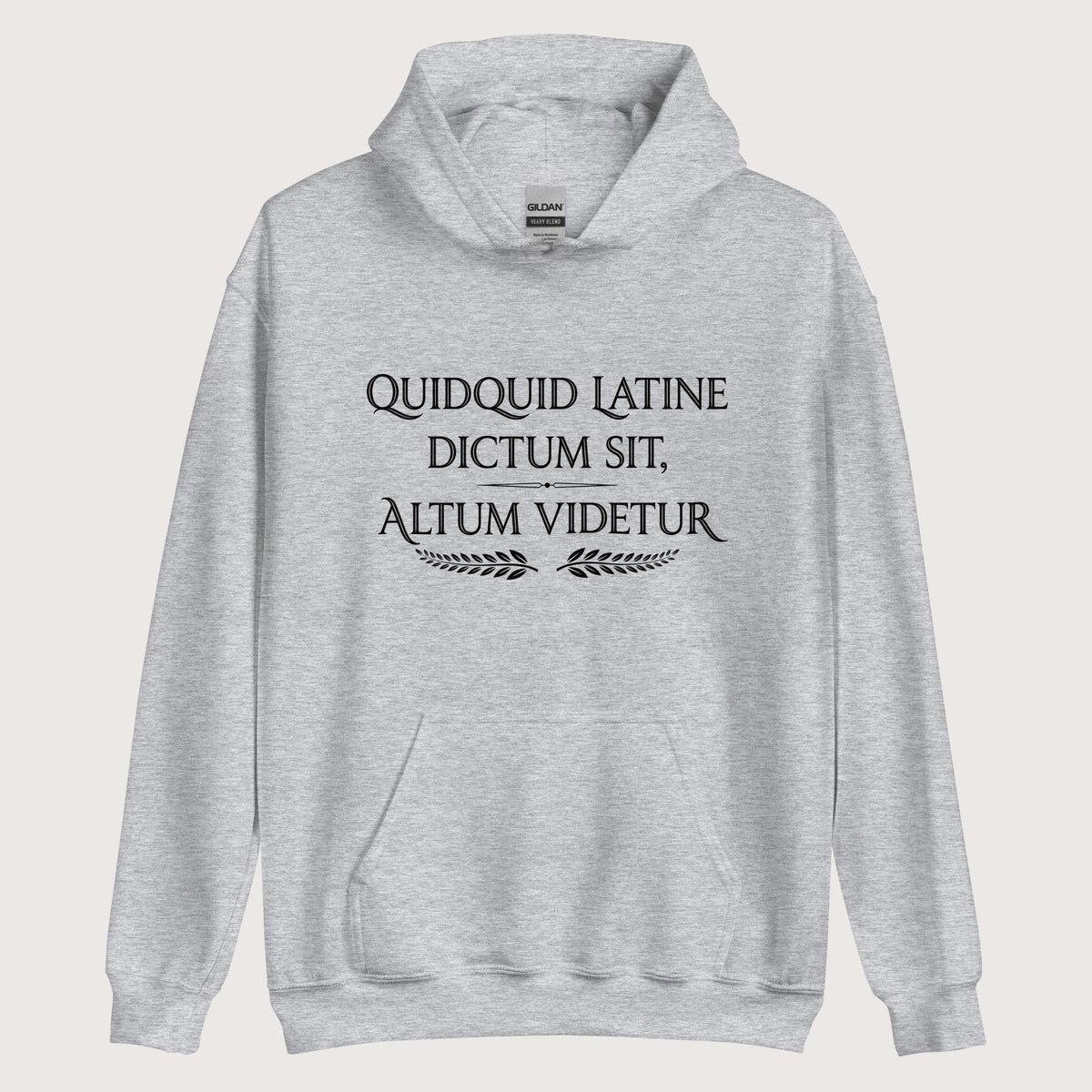 Sport Grey Whatever Is Said in Latin Seems Deep Hoodie - history buff gift by HistoHead