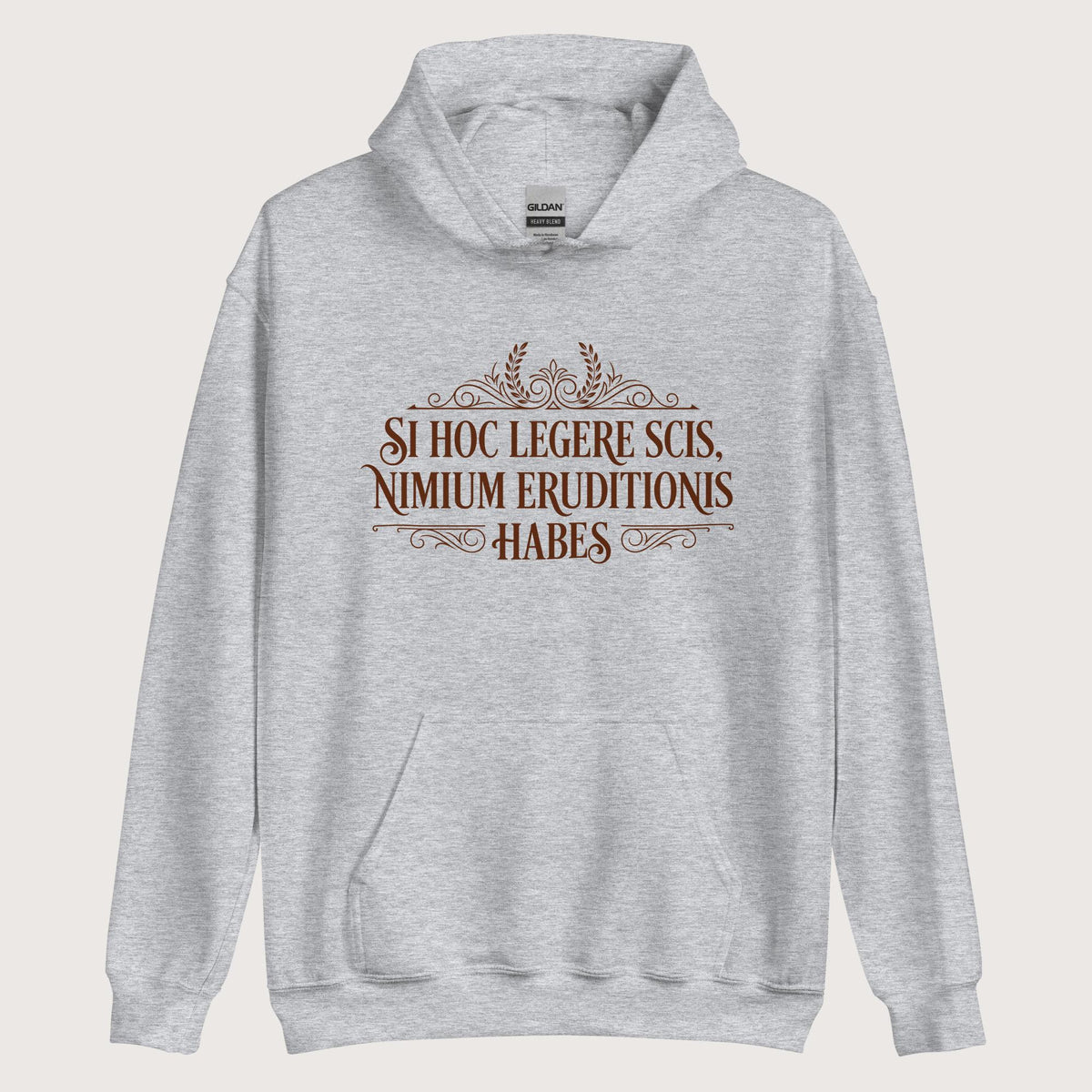 Sport Grey If You Can Read This You Have Too Much Education in Latin Hoodie - history buff gift by HistoHead