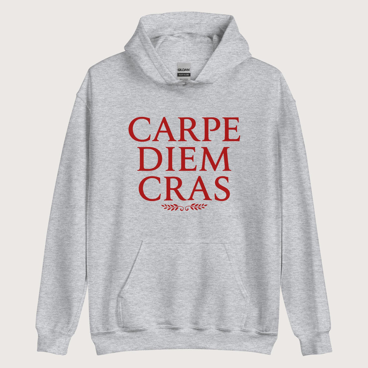 Sport Grey Seize the Day Tomorrow in Latin Hoodie - history buff gift by HistoHead