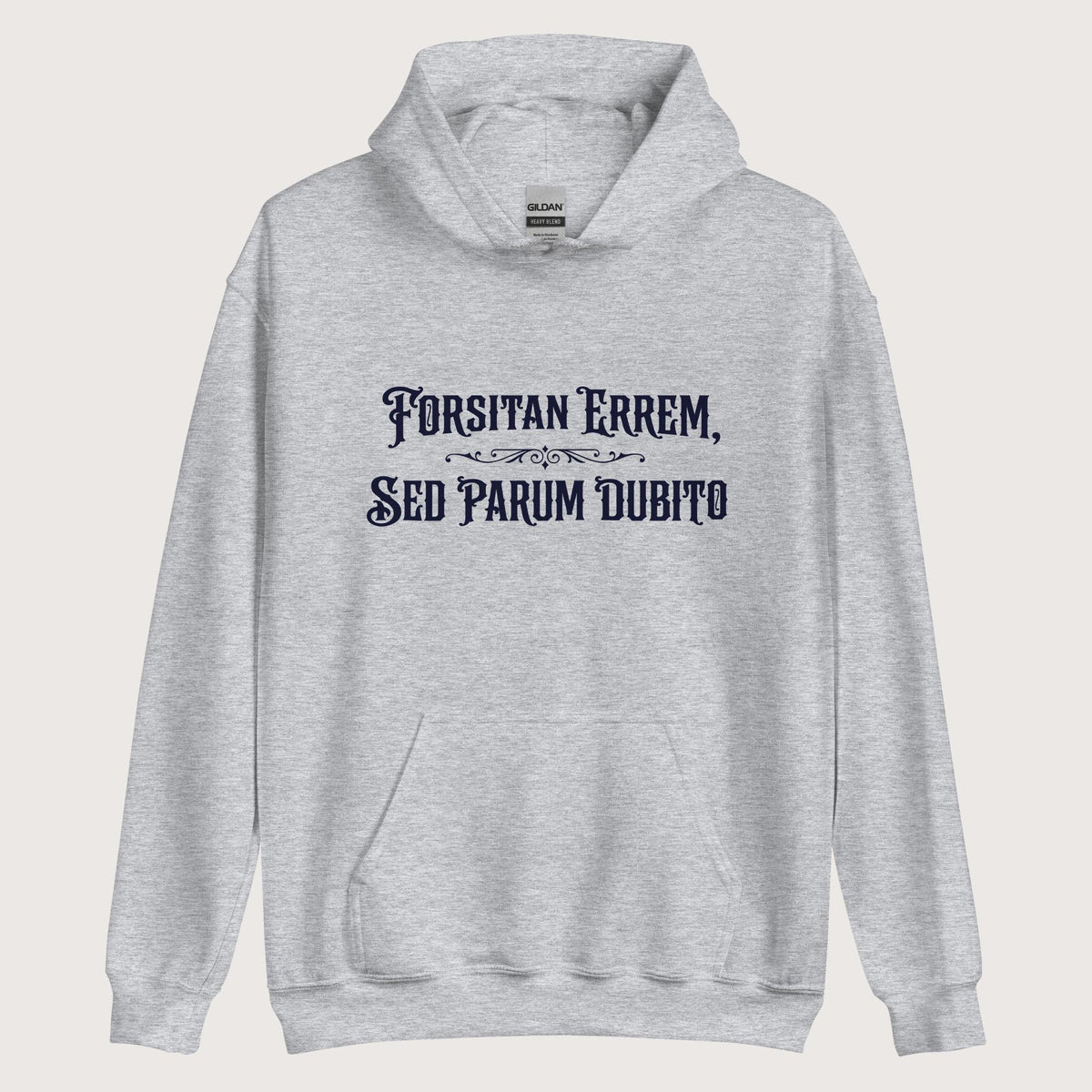 Sport Grey I May Be Wrong But I Doubt It in Latin Hoodie - history buff gift by HistoHead