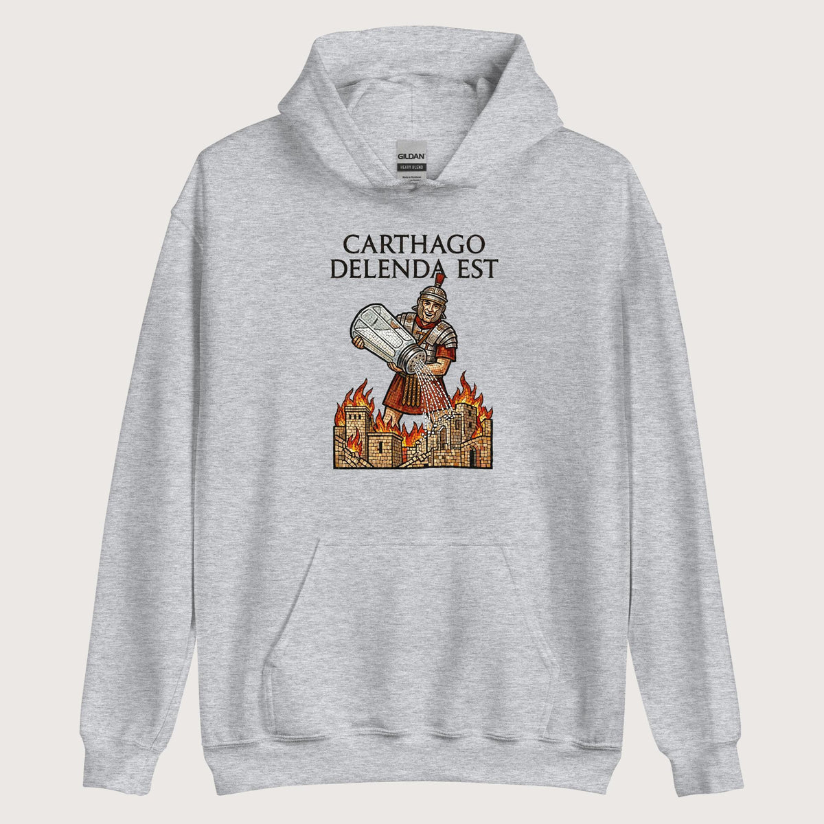 Sport Grey Salting Carthage Hoodie - history buff gift by HistoHead