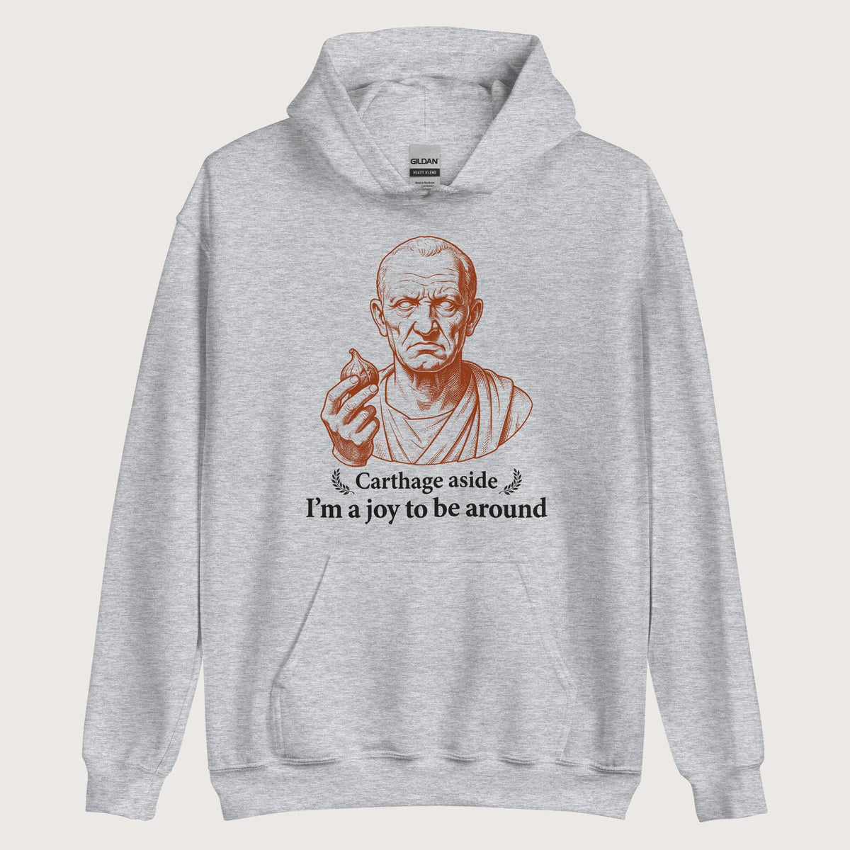 Sport Grey Cato Carthage Aside I'm a Joy to Be Around Hoodie - history buff gift by HistoHead