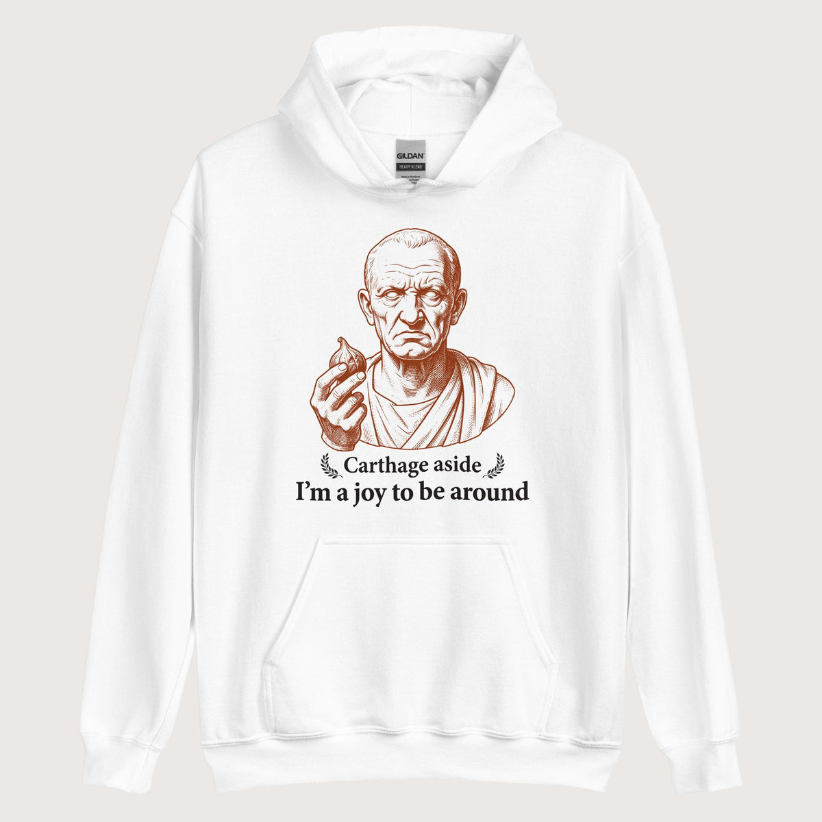 White Cato Carthage Aside I'm a Joy to Be Around Hoodie - history buff gift by HistoHead