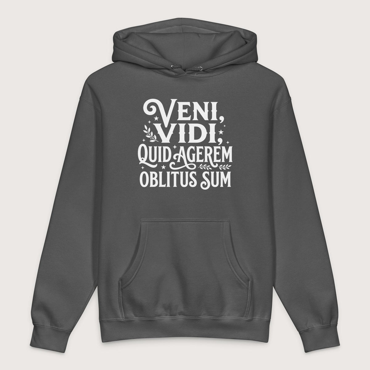 Charcoal Solid Latin I Came I Saw I Forgot I Was Doing - Premium Hoodie - history buff gift by HistoHead