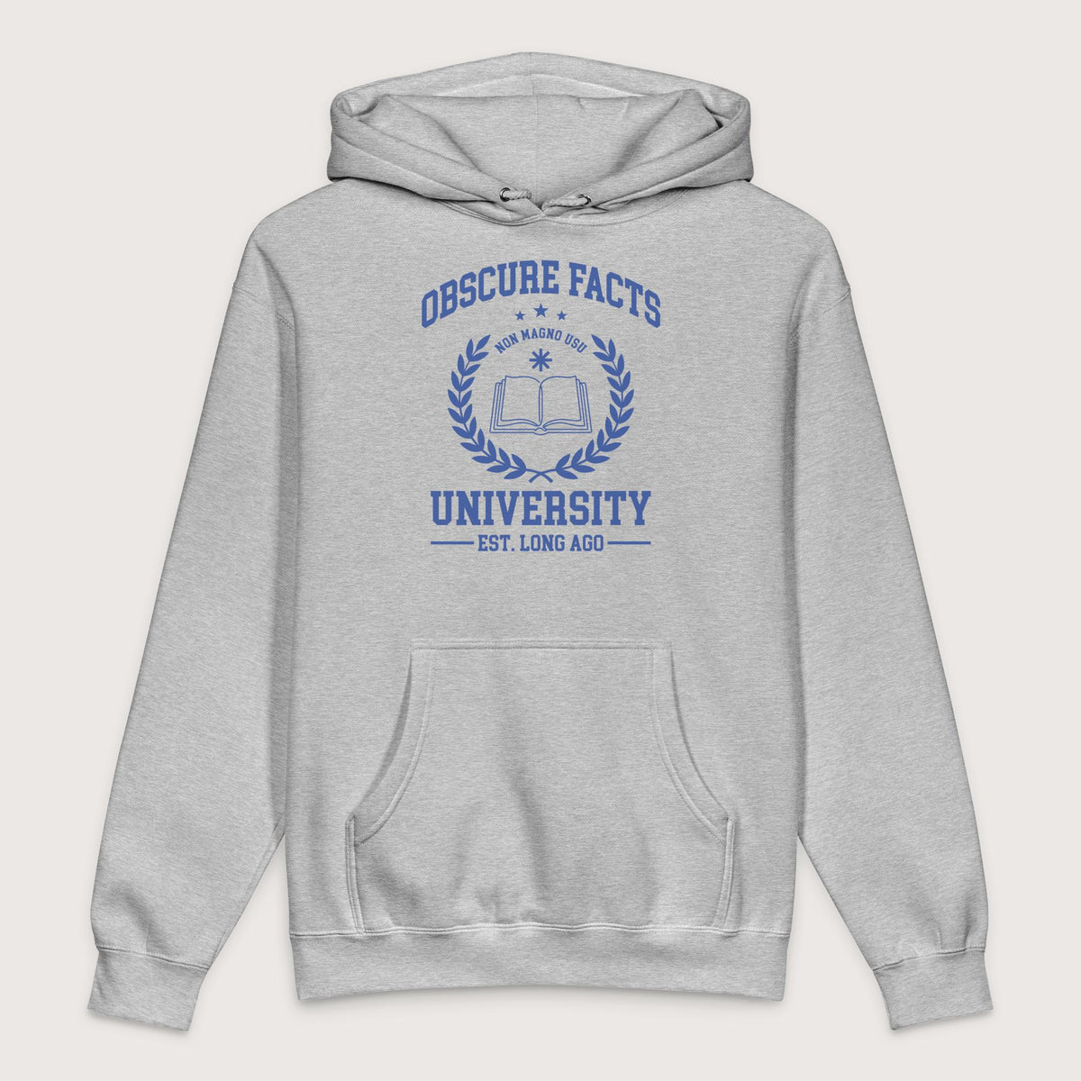 Grey Heather Obscure Facts University - Premium Hoodie - history buff gift by HistoHead