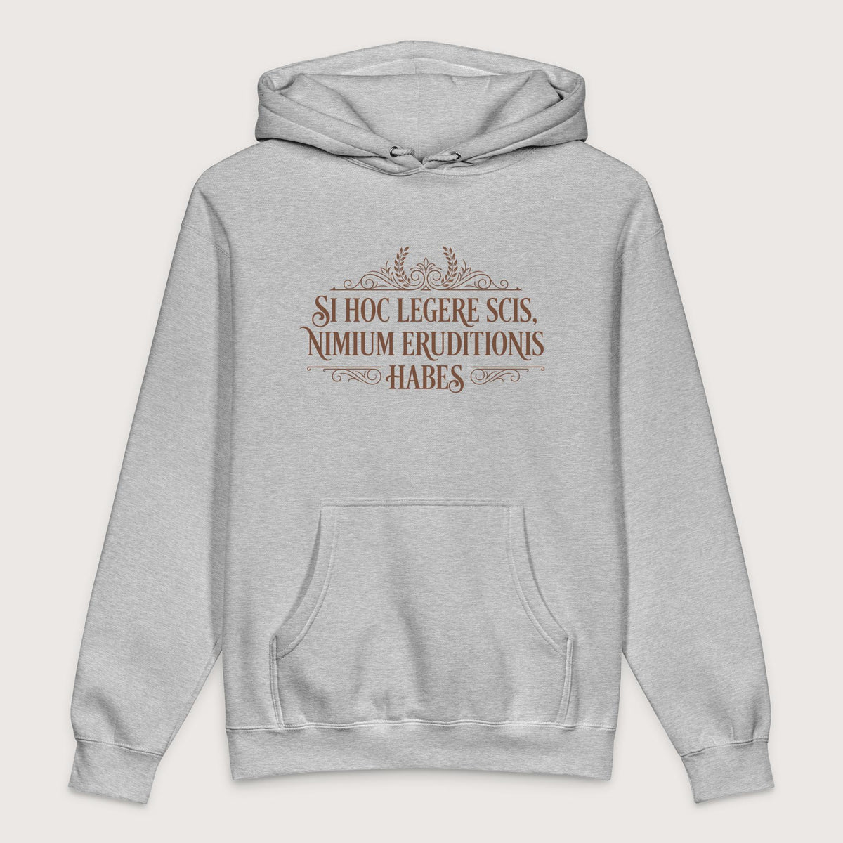 Grey Heather If You Can Read This You Have Too Much Education in Latin - Premium Hoodie - history buff gift by HistoHead