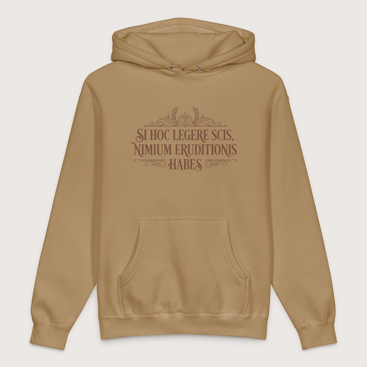 Sandstone If You Can Read This You Have Too Much Education in Latin - Premium Hoodie - history buff gift by HistoHead