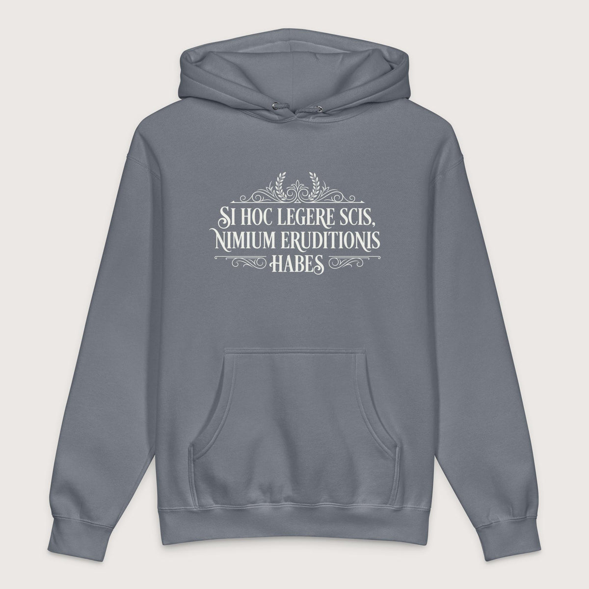 Storm Blue If You Can Read This You Have Too Much Education in Latin - Premium Hoodie - history buff gift by HistoHead