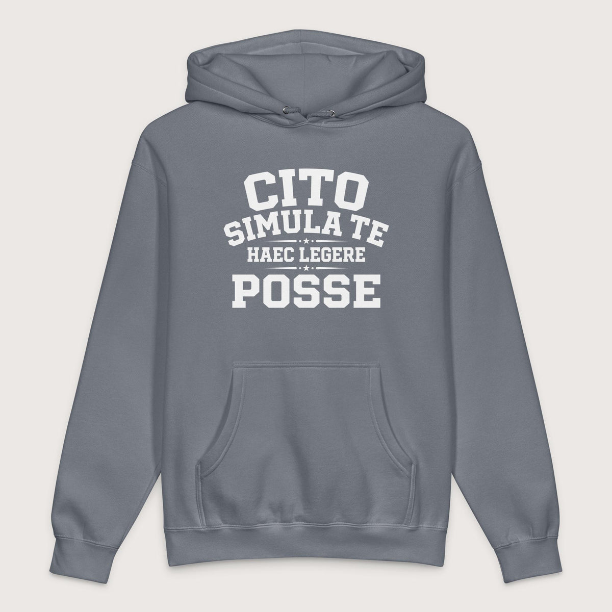 Storm Blue Latin Quick Pretend You Can Read This - Premium Hoodie - history buff gift by HistoHead