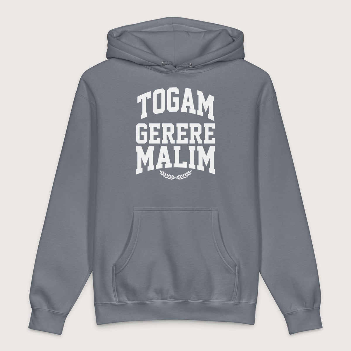 Storm Blue Latin I'd Rather Be Wearing A Toga - Premium Hoodie - history buff gift by HistoHead