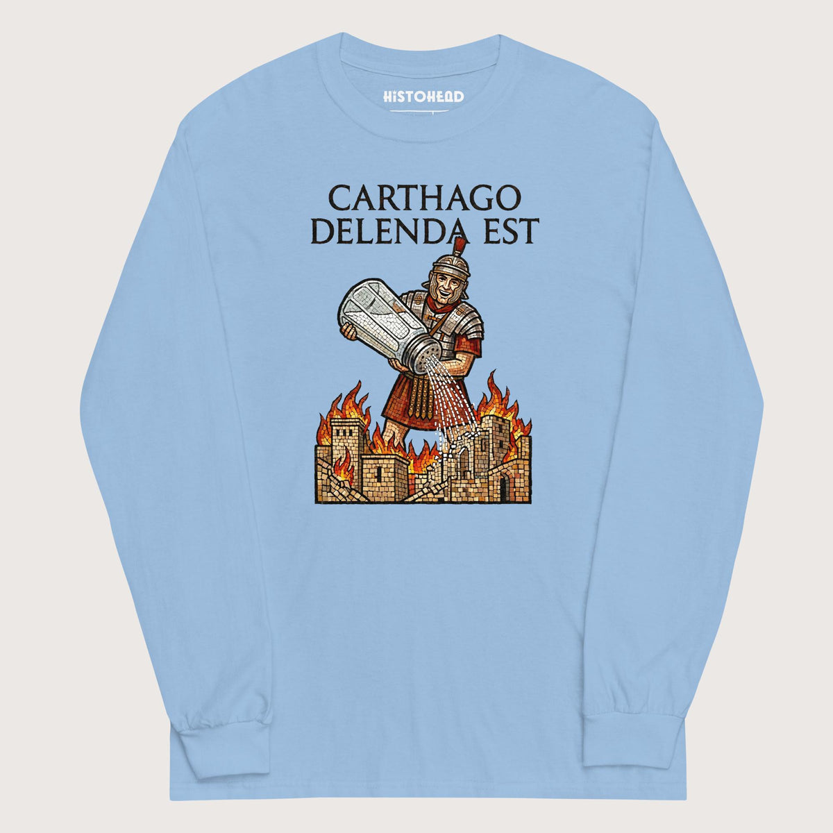 Light Blue Salting Carthage - Long Sleeve - history buff gift by HistoHead
