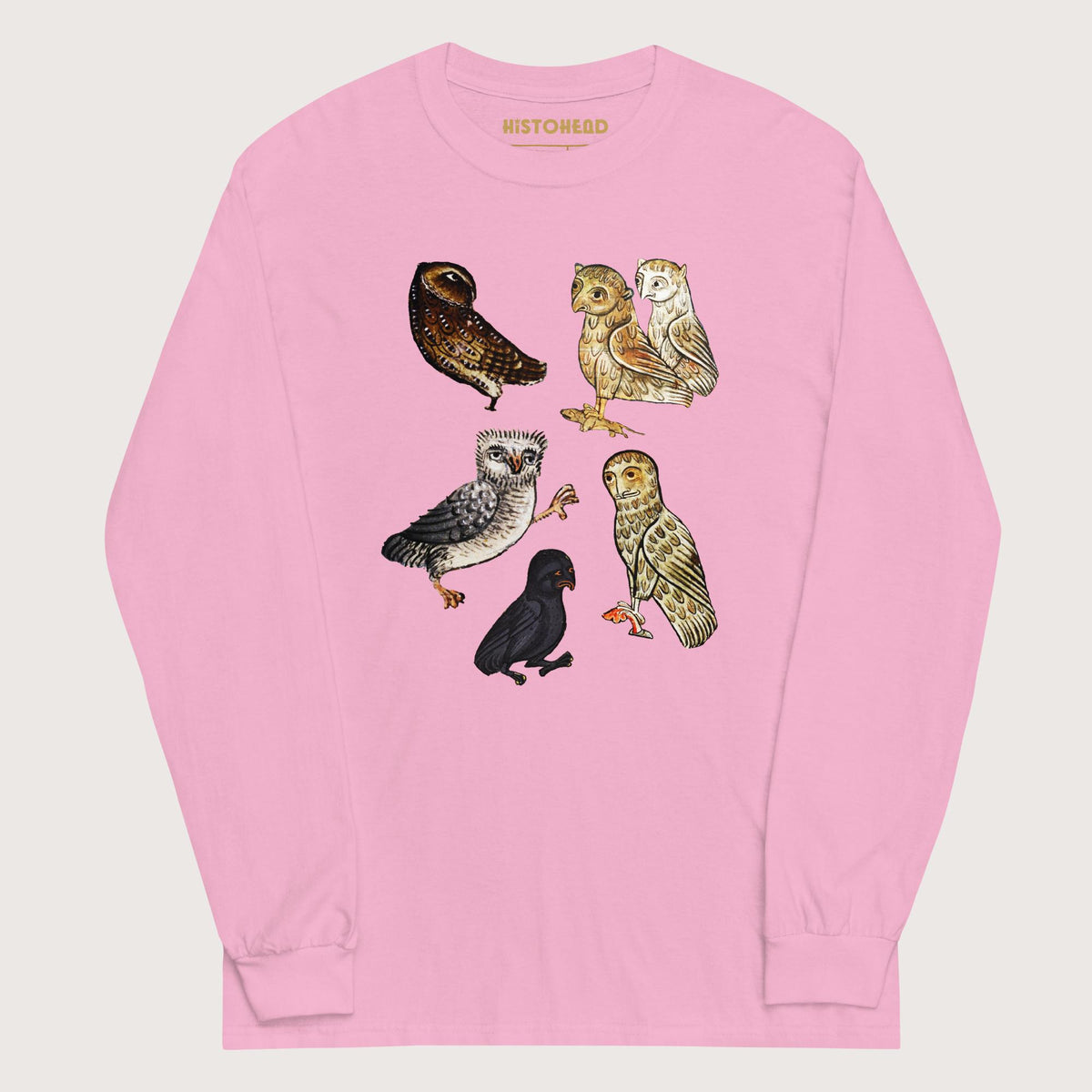 Light Pink Weird Medieval Owls - Long Sleeve - history buff gift by HistoHead