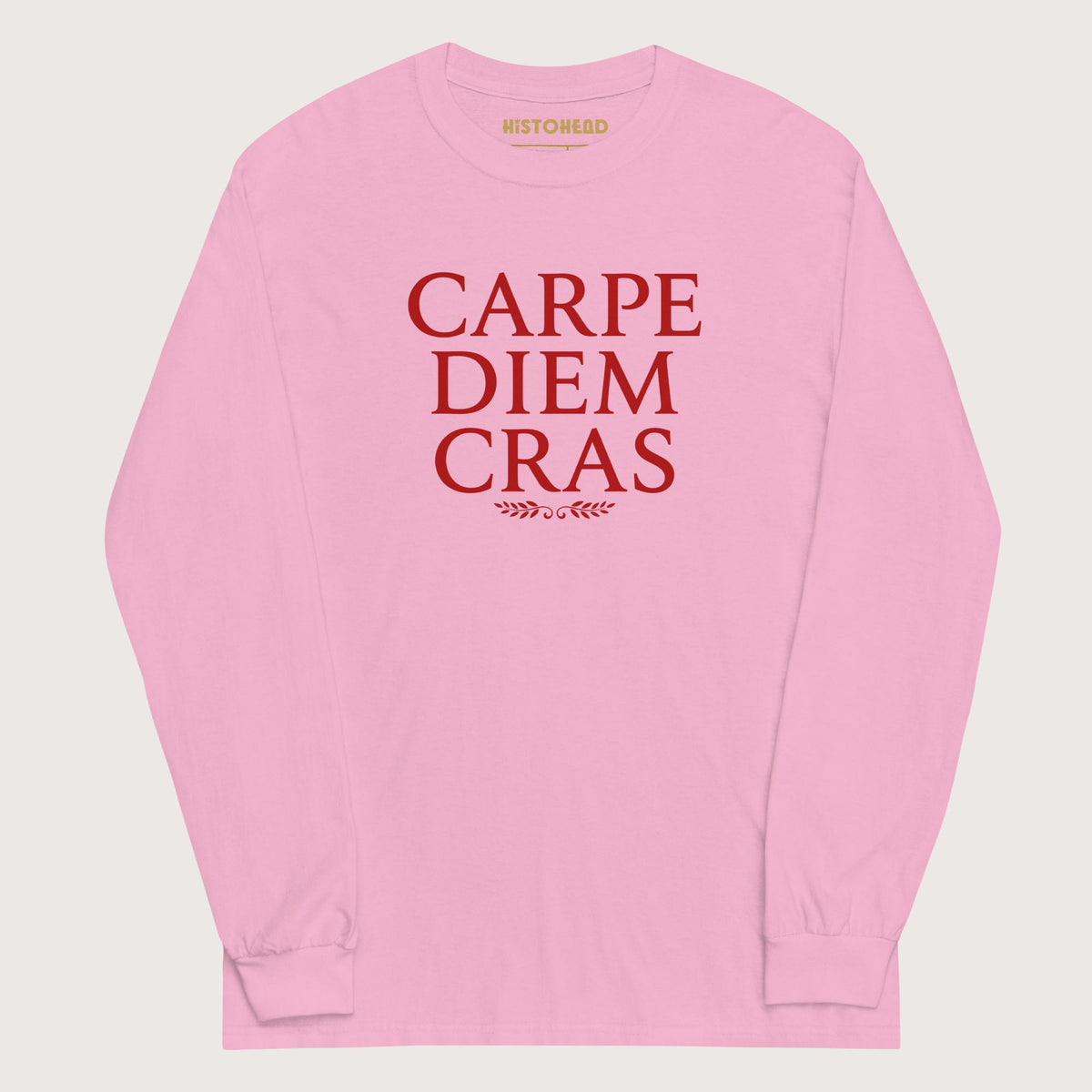 Light Pink Seize the Day Tomorrow in Latin - Long Sleeve - history buff gift by HistoHead