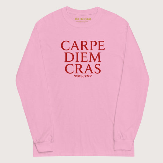 Light Pink Seize the Day Tomorrow in Latin - Long Sleeve - history buff gift by HistoHead