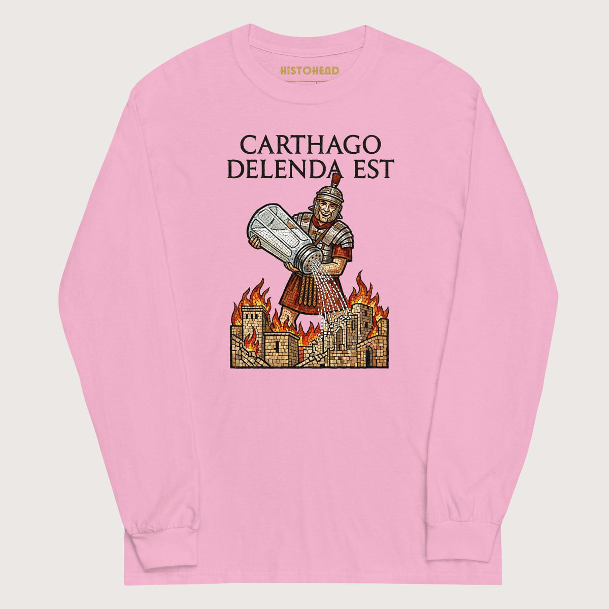 Light Pink Salting Carthage - Long Sleeve - history buff gift by HistoHead