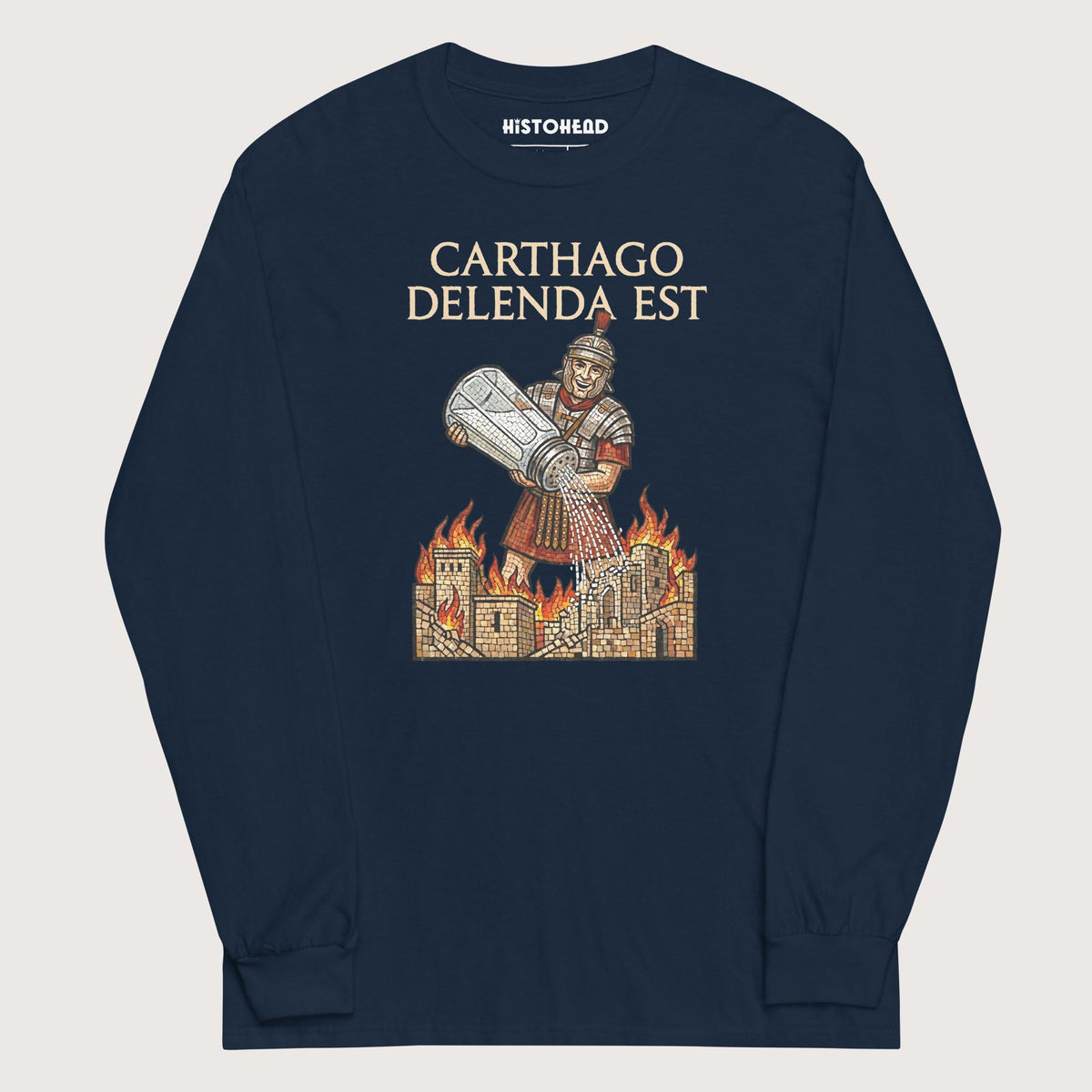 Navy Salting Carthage - Long Sleeve - history buff gift by HistoHead