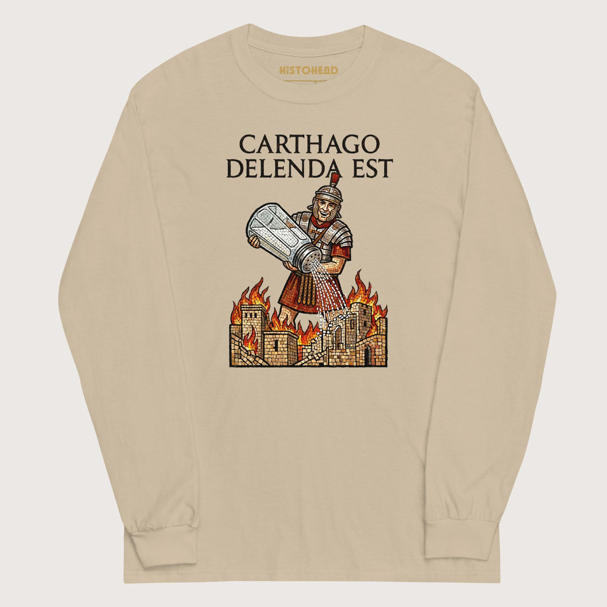 Sand Salting Carthage - Long Sleeve - history buff gift by HistoHead