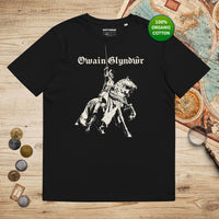 Black Owain Glyndŵr Statue - Organic Tee - history buff gift by HistoHead