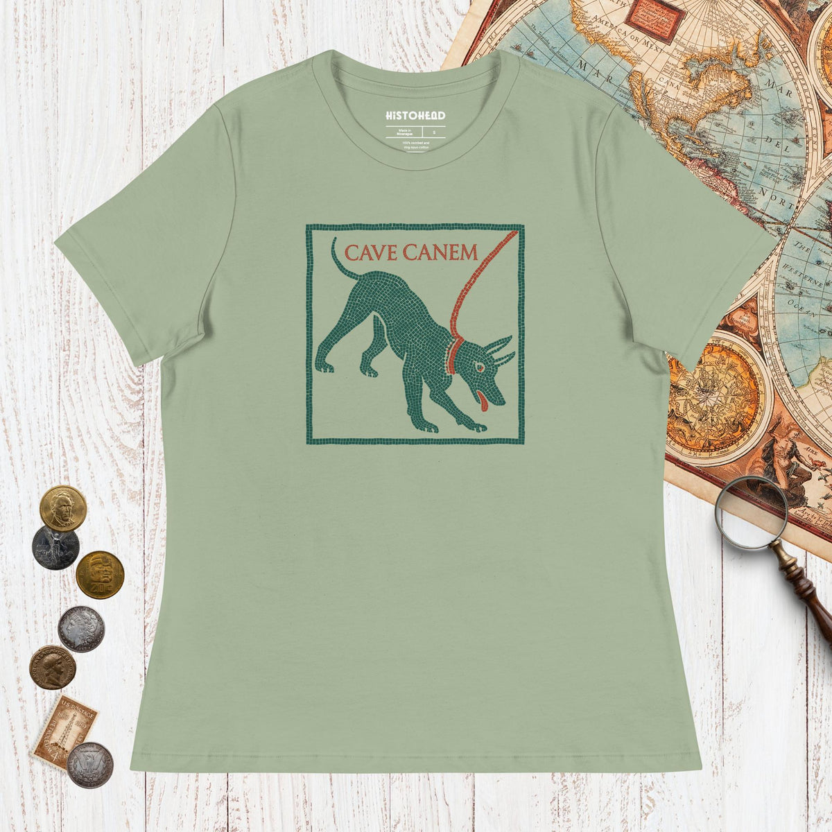 Sage Cave Canem Pompeii Mosaic - Women's Tee - history buff gift by HistoHead